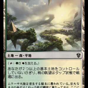 (252)MTG ■土地/日本語版■ 《梢の眺望/Canopy Vista》 カルロフ邸殺人事件 統率者 MKC 土地Rの画像1