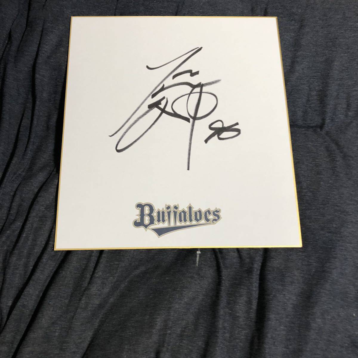 Autógrafo firmado por el jugador de los Orix Buffaloes, Udagawa, béisbol, Recuerdo, Mercancía relacionada, firmar