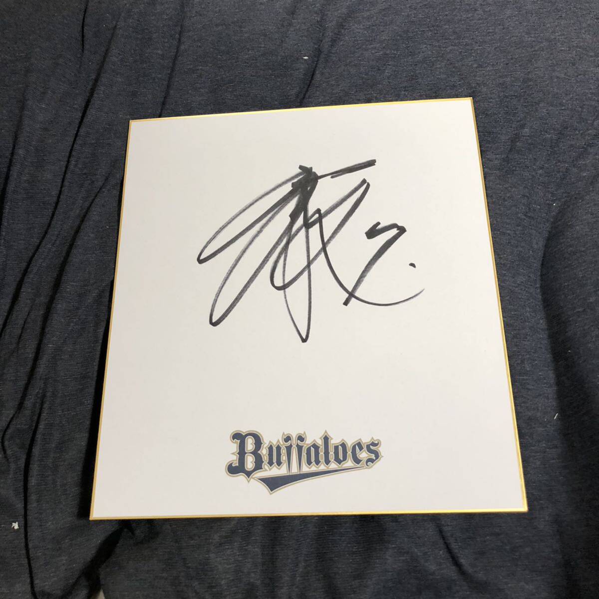 Orix Buffaloes player Ryoma Nishikawa autographed autograph, baseball, Souvenir, Related Merchandise, sign