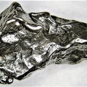 隕石 鉄隕石 カンポデルシエロ 資料付（Ｌ）の画像1