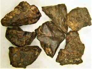46億年前の隕石コンドライト（ｆ）