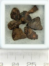 46億年前の隕石コンドライト（d）_画像2