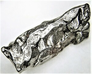 隕石　鉄隕石　カンポデルシエロ　資料付（Ｈ）