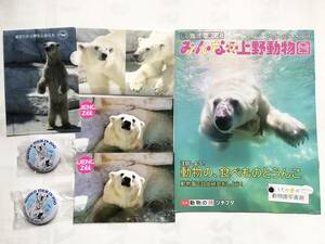 イコロ デア 公式グッズ 非売品セット ポストカード 缶バッジ みんなの上野動物園 A6特製クリアファイル ◆ シロクマ ホッキョクグマ