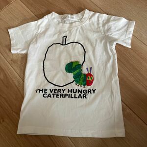 はらぺこあおむし　Tシャツ　110