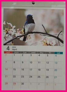 【送料無料:カレンダー：2024年：可愛い 「小鳥・鳥」】★4月始まり ～2025/3迄：A4：30x21cm★壁掛け：暦：こよみ：