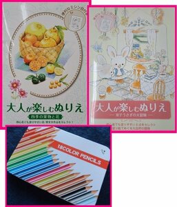 [ free shipping : adult coating .:2 pcs. . color pencil ]* adult . comfort [ paint picture ]:.* fruit . flower : heart . stability make do [ paint picture ]: -stroke less cancellation : hour . possible to enjoy 