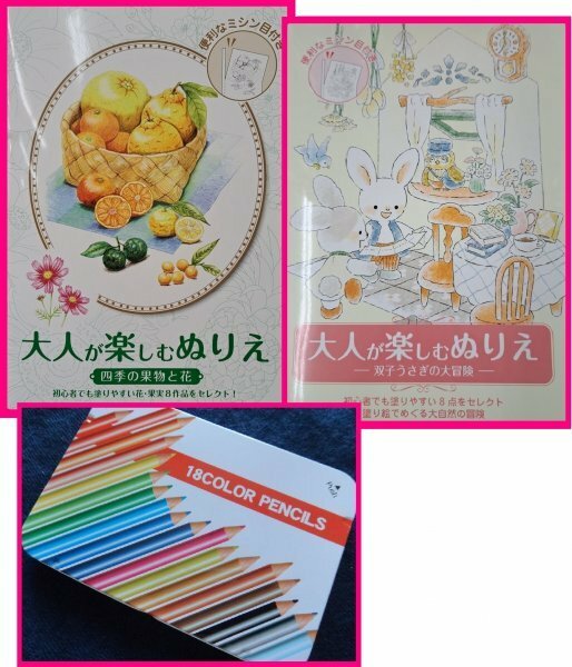 【送料無料：大人の塗り絵:2冊 と 色鉛筆】★大人が楽しむ「ぬりえ」:絵★果物と花:心を安定させる「ぬりえ」:ストレス解消:時間を楽しめる