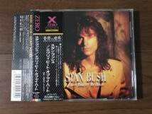 スタン・ブッシュ STAN BUSH / エヴリィ・ビート・オヴ・マイ・ハート_画像1