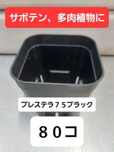 送料無料★ 水はけバツグン！硬質ポット　プレステラ　ブラック　７５　８０コセット■スリット鉢