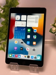 Apple SIMフリー iPad mini 4 スペースグレイ 128GB MK762J/A Wi-Fi+Cellular バッテリー93％良好判定☆ A5566