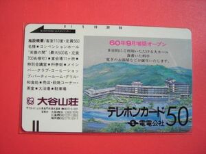 電電公社　フリー　110-164　大谷山荘　未使用テレカ