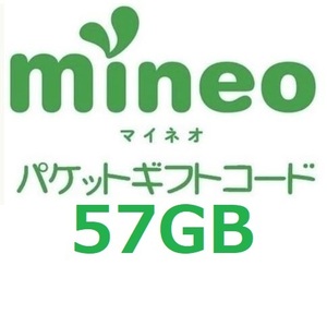 パケットギフト 　9,500MB×6 (約57GB) mineo マイネオ 即決 匿名 容量相談対応