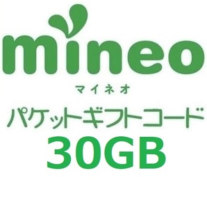 パケットギフト 9,999MB×3 (約30GB) mineo マイネオ 即決 匿名 容量相談対応③の画像1