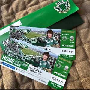 専用です！！松本山雅FC vs fC岐阜　3/30 チケット1枚