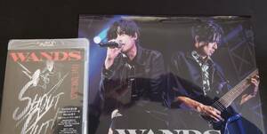 WANDS　Live Tour 2023　Blu-ray　先着特典A4クリアファイル 外装フィルム 付き