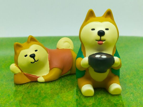 【激レア】Decole concombre デコレ コンコンブル 柴犬 うとうと＆ぜんざい ２点セット！イヌ 犬