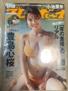 豊島心桜週刊プレイボーイ 