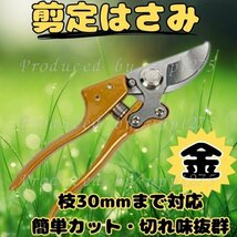 剪定ばさみ バサミ 園芸 30mm 花切りハサミ 庭 剪定鋏 ガーデン 枝切 金 軽量_画像1