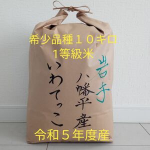 お米　１０キロ　白米　いわてっこ