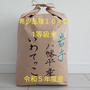 お米　１０キロ　白米　いわてっこ