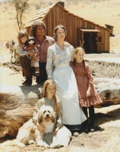 大型写真(約35.5x28cm)　大草原の小さな家　Little House on the Prairie 　輸入品 sb0114