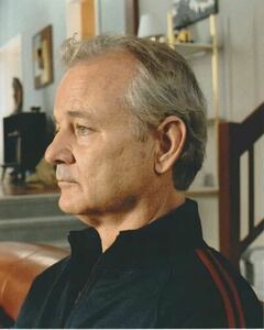 Сломанные цветы Burmuray Broken Flowers Bill Murray Import Photo около 20.3x25,4 см 11479.