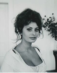 ソフィアローレン　Sophia Loren　約20.3x25.4cm　輸入　写真　23051