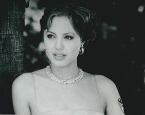 アンジェリーナジョリー　Angelina Jolie　約20.3x25.4cm　輸入　写真　約20.3x25.4cm　23085
