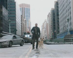 アイアムレジェンド　ウィルスミス　I Am Legend　Will Smith 輸入　写真　11451.