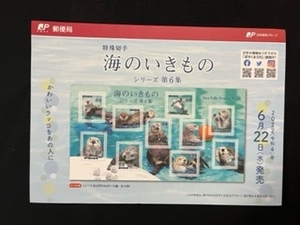 切手チラシ　2022.06.22発売　【海のいきものシリーズ　第６集】かわいいラッコ