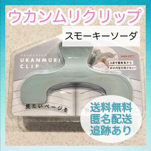 【新品未使用】サンスター ウカンムリクリップ スモーキーソーダ 文具