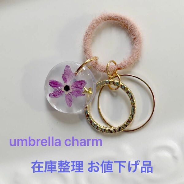 在庫整理お値下げ品　w228 umbrella charm ハンドメイド　ドライフラワー　レジン