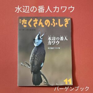 バーゲンブック　月刊 たくさんのふしぎ 　水辺の番人カワウ　 福音館書店