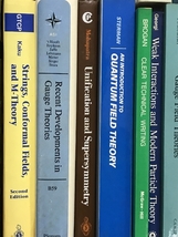 洋書 物理学 関連本 まとめて 21冊 セット 場の量子論 ゲージ理論 数理物理学_画像4