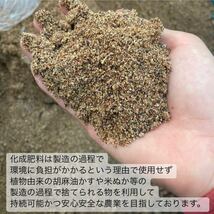 ＊無農薬お茶＊焙煎ほうじ茶パウダー　化学肥料・除草剤・畜産堆肥不使用2023年産_画像8