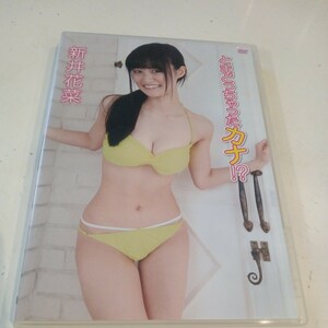 新井花菜/とまどっちゃったカナ DVD 着エロ グラビアアイドル 開脚 パンチラ ミニスカ エロポーズ エロビキニ 美脚 1円〜