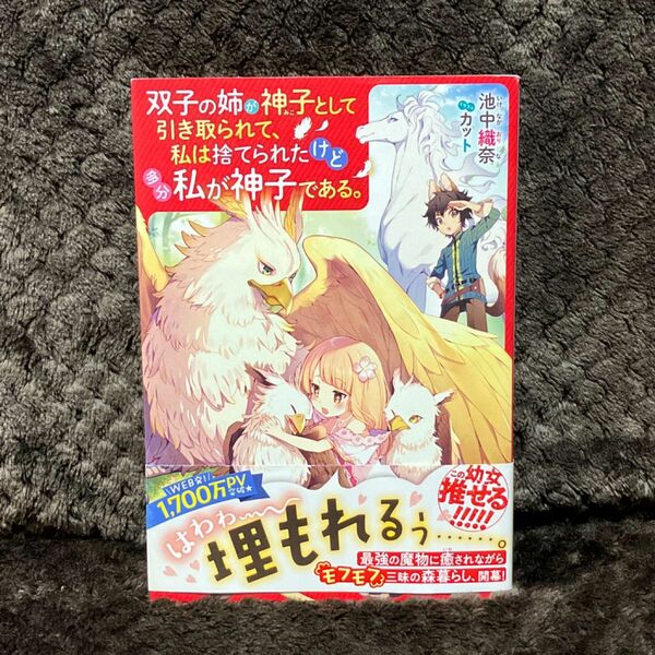 双子の姉が神子として引き取られて、私は捨てられたけど多分私が神子である。 池中織奈／著