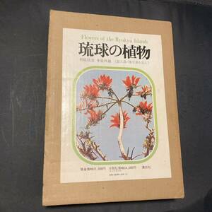 【希少】琉球の植物 Flowers of the Ryukyu Islands 屋久島　種子島を含む 講談社　沖縄　植物