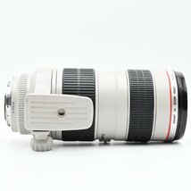 Canon 望遠ズームレンズ EF70-200mm F2.8L USM フルサイズ対応 交換レンズ_画像8