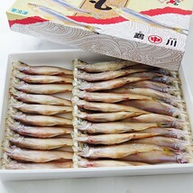 本ししゃもメス30尾(北海道産本柳葉魚)卵を抱えた雌の子持ちシシャモ 北海道の本シシャモ海鮮ギフト 御中元や御歳暮等にも_画像2