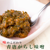 青唐がらし味噌 250g【味のこだわり 青唐辛子味噌】辛味の効いた青とうがらしを甘みのあるミソで味付けした惣菜 【メール便対応】_画像1