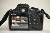 シャッター回数 3512回 動作品 キャノン Canon EOS Kiss X2 レンズ EF-S 18-55mm f3.5-5.6 II USM デジタル一眼カメラ 充電器付 管GG2434_画像8