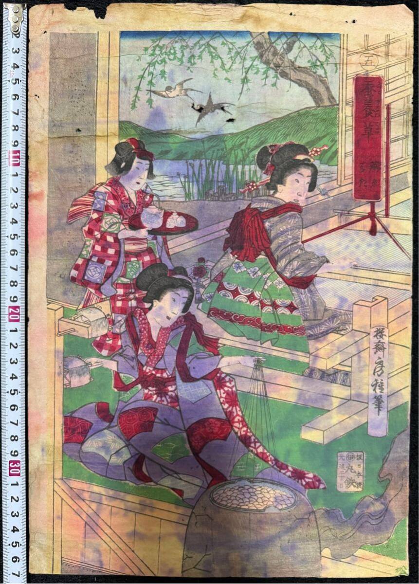 Meiji-Zeit/Authentische Arbeit Utagawa Fusatane Seidenraupenpflanze Echter Ukiyo-e-Holzschnitt Druck Schöne Frau Gemälde Nishiki-e Großformat, Malerei, Ukiyo-e, drucken, Schöne Frau malt