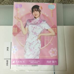 乃木坂46 向井葉月 チャンスメール 当選品 乃木坂mobile