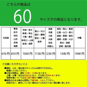 Vol.108★エアファイターコレクション アメリカ海軍 F-14A トムキャット 1/100 ダイキャストモデル CAGbird機 新品未開封の画像5