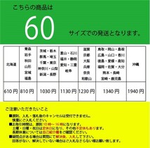 Vol.96★エアファイターコレクション アメリカ空軍 F-4E ファントムII 1/100 ダイキャストモデル サンダーバーズ 新品未開封_画像5