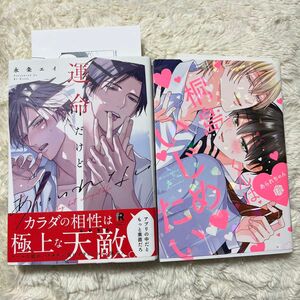 2冊セット 運命だけどあいいれない 桐島くんはいじめたい 永条エイ あられちゃん BL