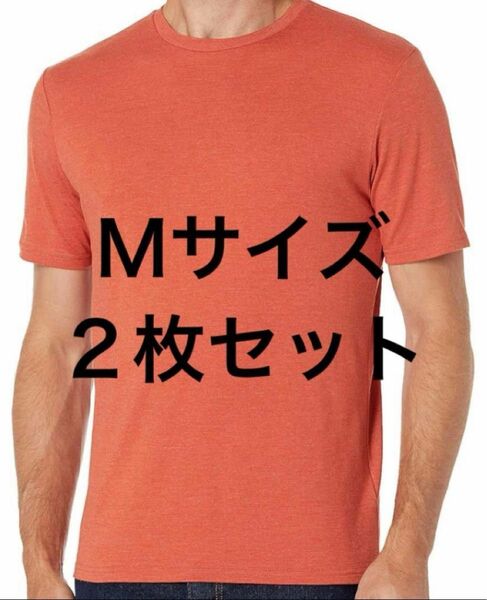 人気 2枚組 Tシャツ クルーネック スリムフィット 半袖 メンズ