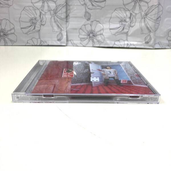 CD 2621 YUI It’s all too much/Never say die
